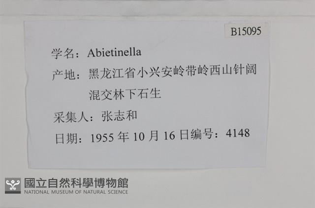 登錄號:B00015095藏品圖，第2張