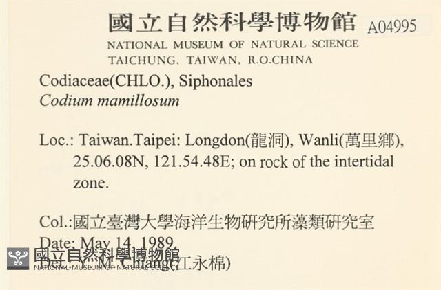 登錄號:A00004995藏品圖，第2張