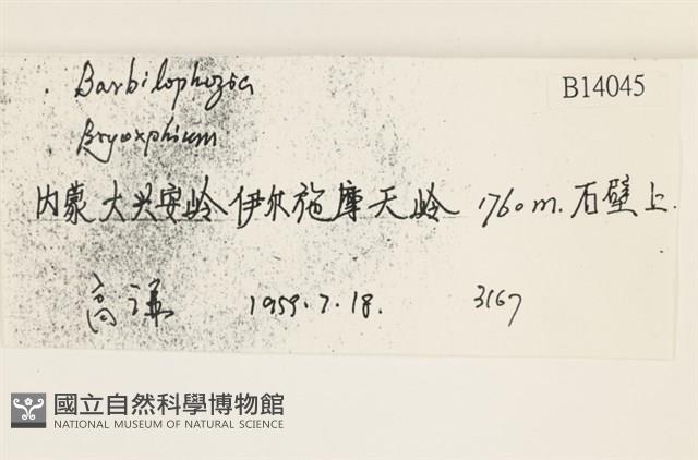 登錄號:B00014045藏品圖，第2張