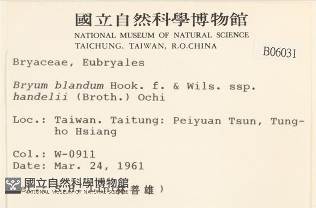 登錄號:B00006031藏品圖，第2張