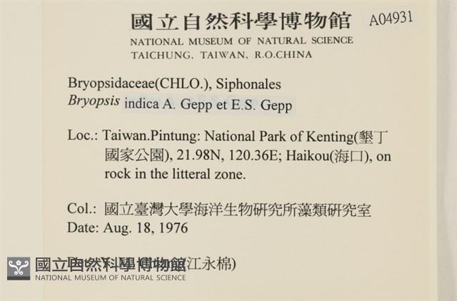 登錄號:A00004931藏品圖，第2張