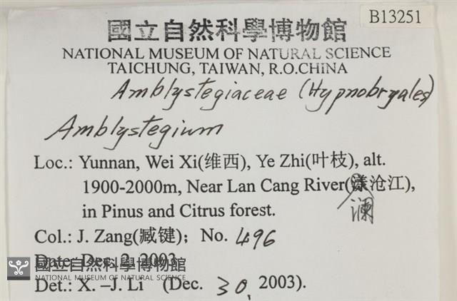 登錄號:B00013251藏品圖，第2張