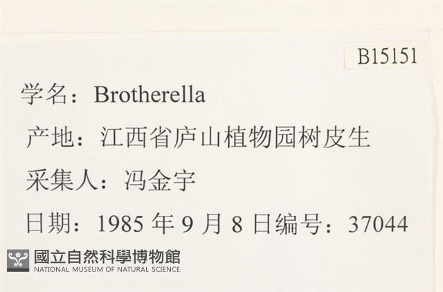 登錄號:B00015151藏品圖，第2張