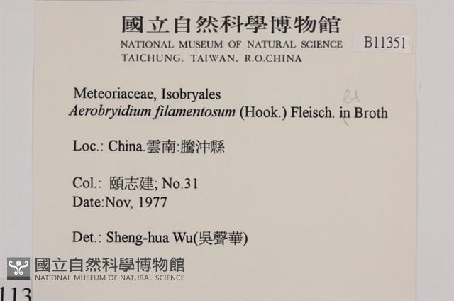 毛扭蘚藏品圖，第2張