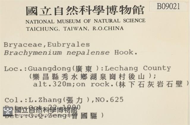 那霸短月蘚藏品圖，第2張