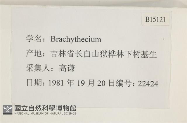 登錄號:B00015121藏品圖，第2張