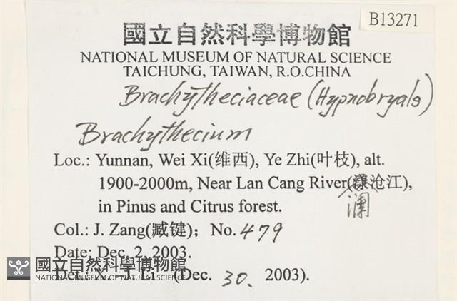 登錄號:B00013271藏品圖，第2張