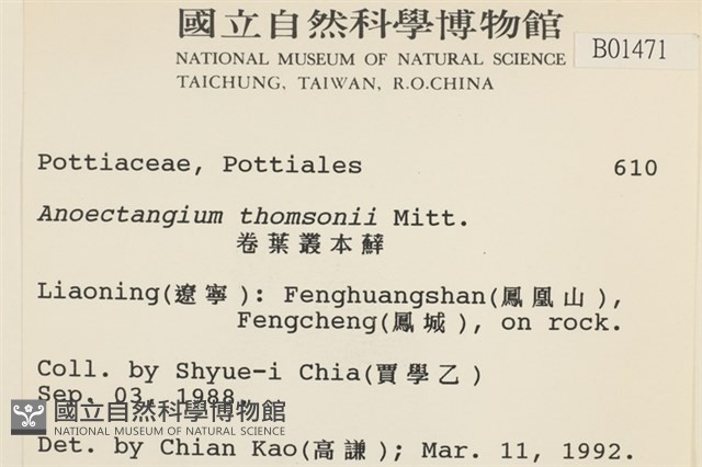 索氏叢本蘚藏品圖，第2張
