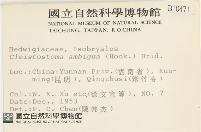 蔓枝蘚藏品圖，第2張