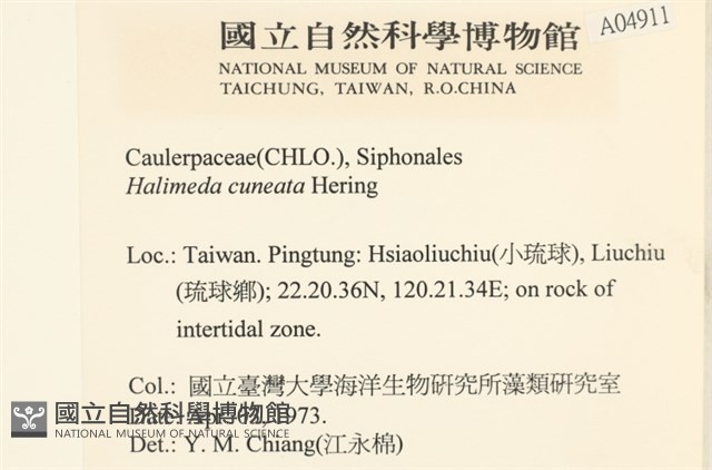 登錄號:A00004911藏品圖，第2張