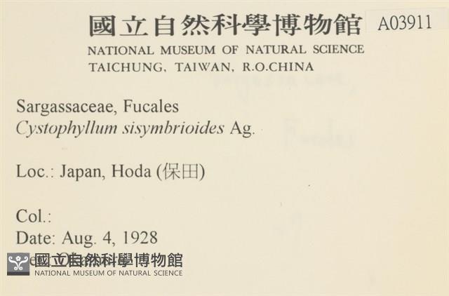 登錄號:A00003911藏品圖，第2張