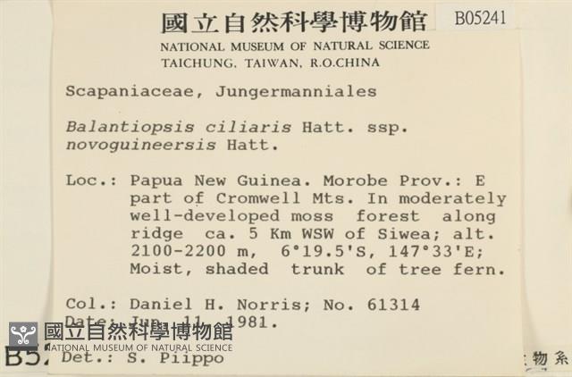 登錄號:B00005241藏品圖，第2張