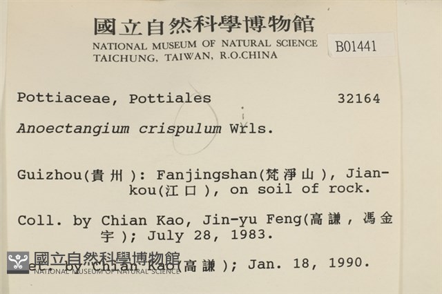 卷葉叢本蘚藏品圖，第2張