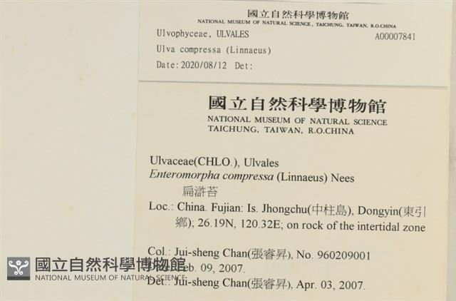 登錄號:A00007841藏品圖，第2張