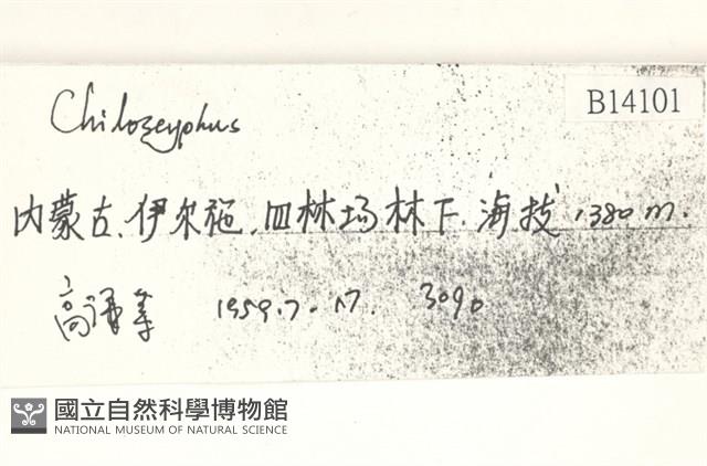 登錄號:B00014101藏品圖，第2張