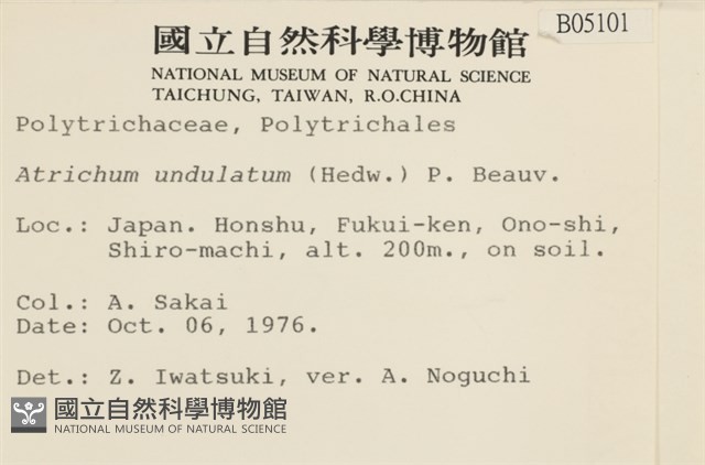 仙鶴蘚藏品圖，第2張