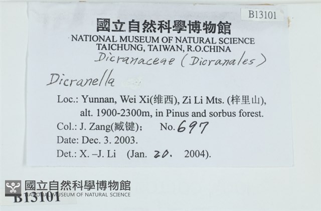 登錄號:B00013101藏品圖，第2張