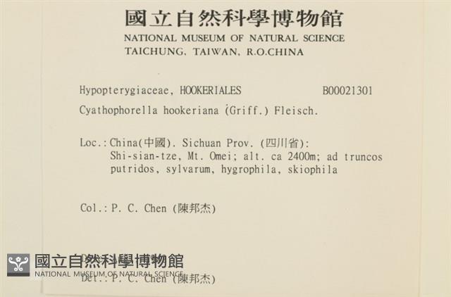 登錄號:B00021301藏品圖，第2張