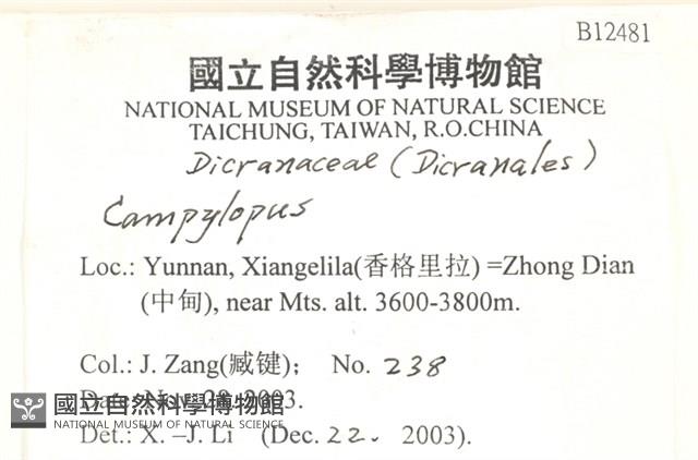 登錄號:B00012481藏品圖，第2張