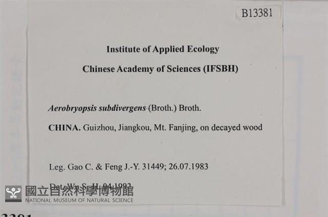 大灰氣蘚藏品圖，第2張