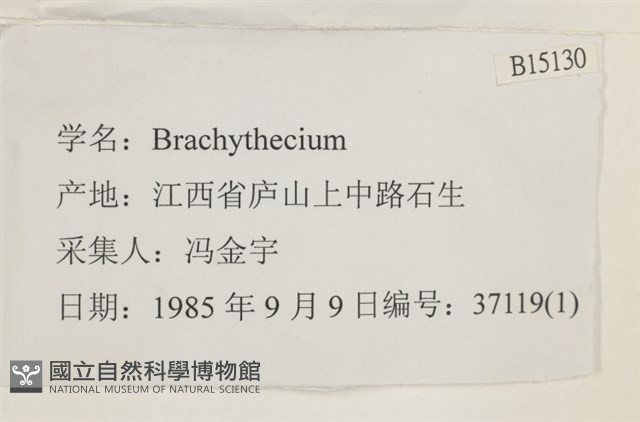 登錄號:B00015130藏品圖，第2張