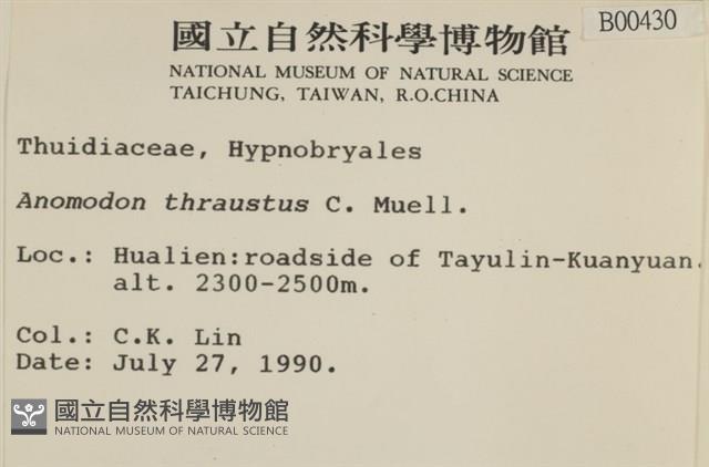 碎葉牛舌蘚藏品圖，第2張