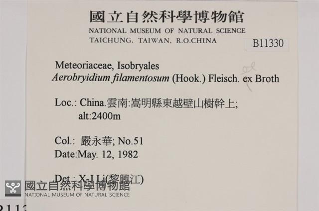 毛扭蘚藏品圖，第2張