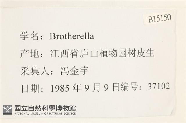 登錄號:B00015150藏品圖，第2張