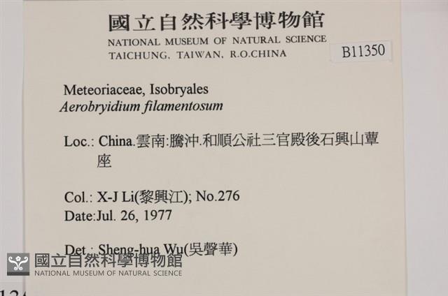 毛扭蘚藏品圖，第2張