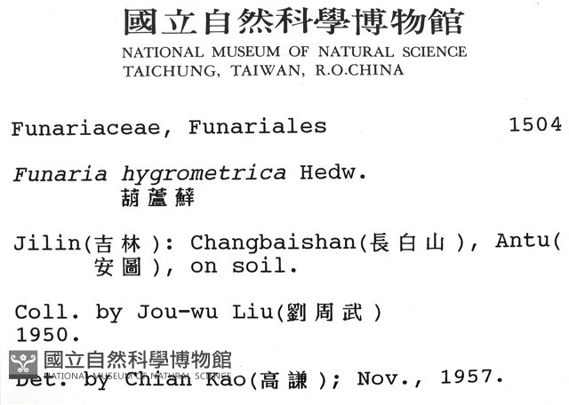 葫蘆蘚藏品圖，第2張