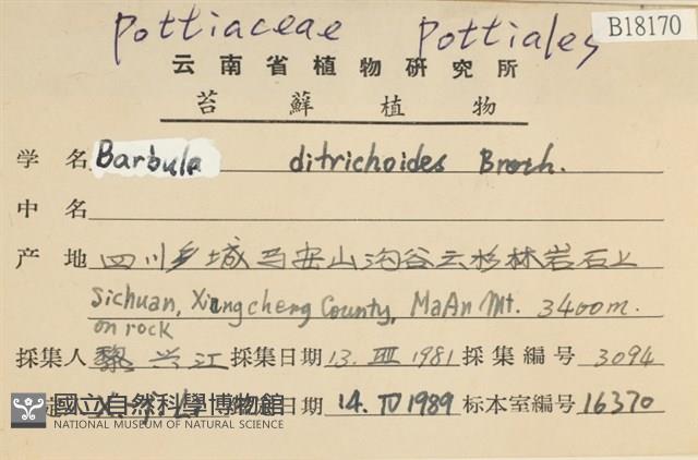 登錄號:B00018170藏品圖，第2張