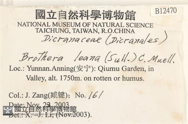 登錄號:B00012470藏品圖，第2張