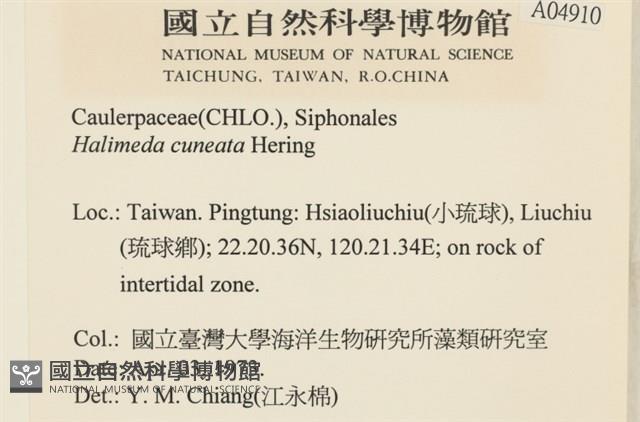 登錄號:A00004910藏品圖，第1張