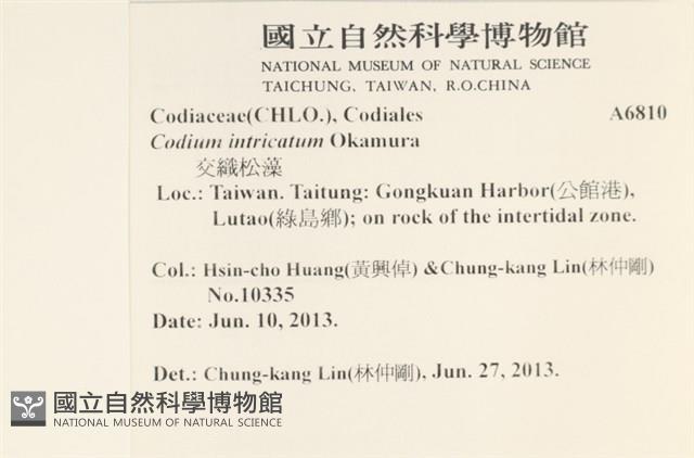 登錄號:A00006810藏品圖，第2張