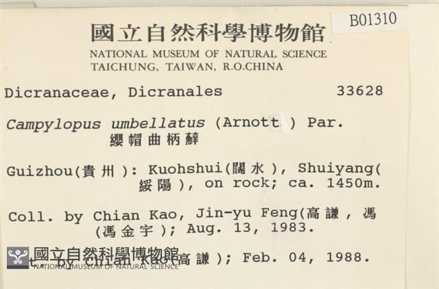 登錄號:B00001310藏品圖，第2張