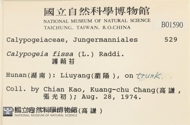 護蒴苔藏品圖，第2張