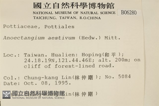 登錄號:B00006280藏品圖，第2張