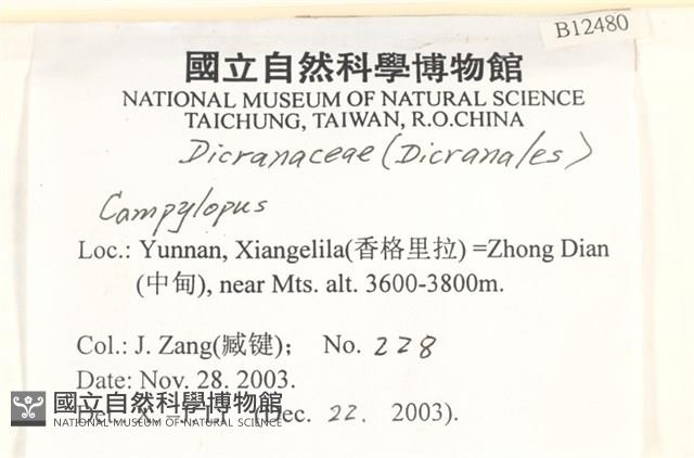 登錄號:B00012480藏品圖，第2張