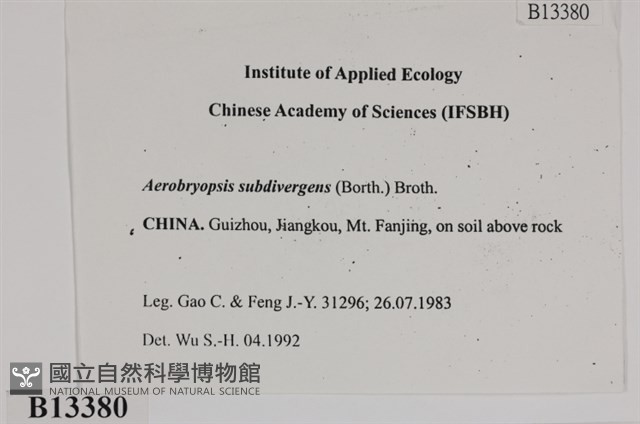 大灰氣蘚藏品圖，第2張