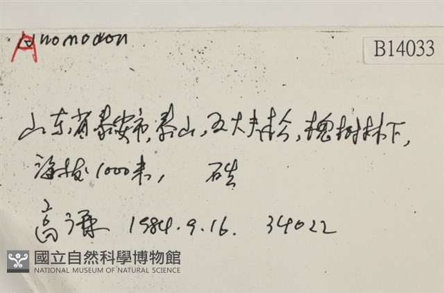 登錄號:B00014033藏品圖，第2張