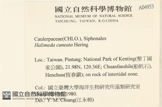 Accession Number:A00004953 Collection Image, Figure 2, Total 3 Figures