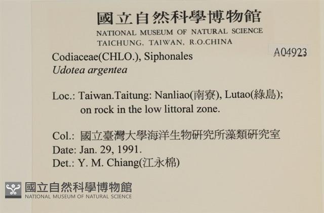 登錄號:A00004923藏品圖，第2張