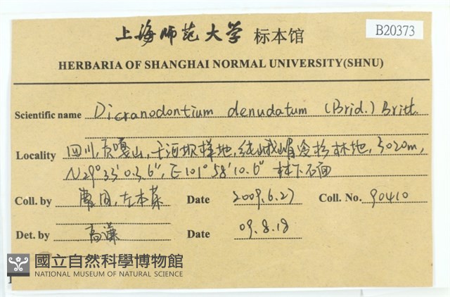 青毛苔藏品圖，第2張