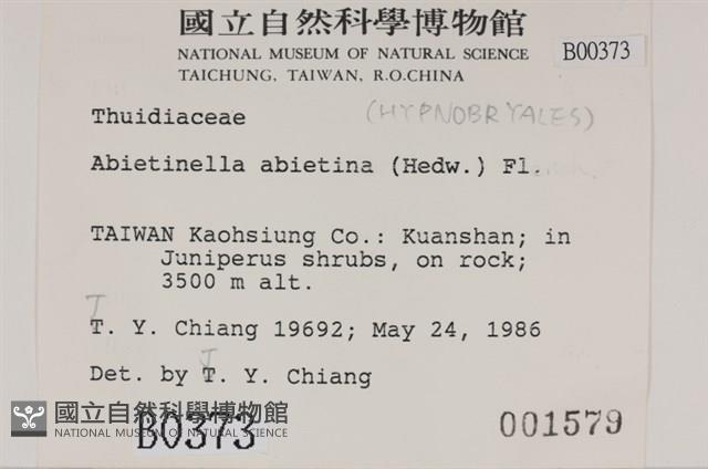 山羽蘚藏品圖，第2張