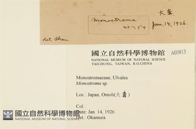 登錄號:A00003813藏品圖，第2張