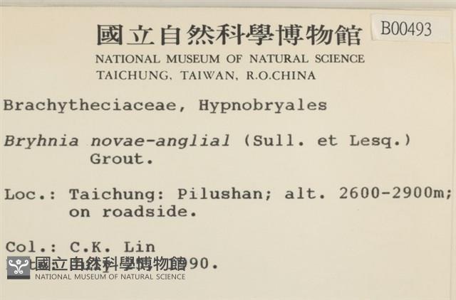 燕尾蘚藏品圖，第2張