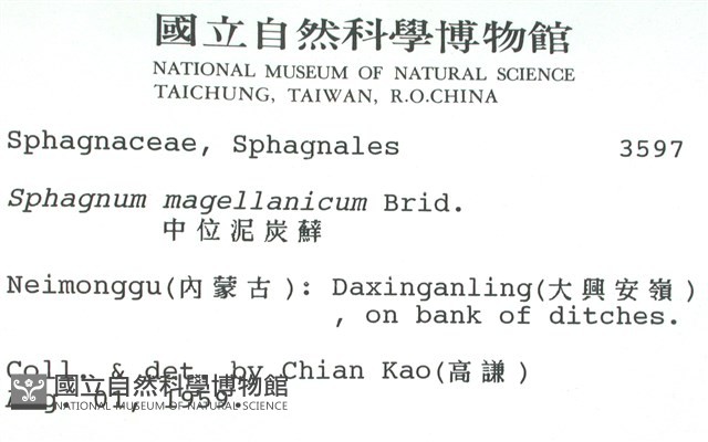 中位泥炭蘚藏品圖，第2張