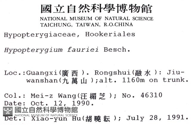 東亞孔雀蘚藏品圖，第2張