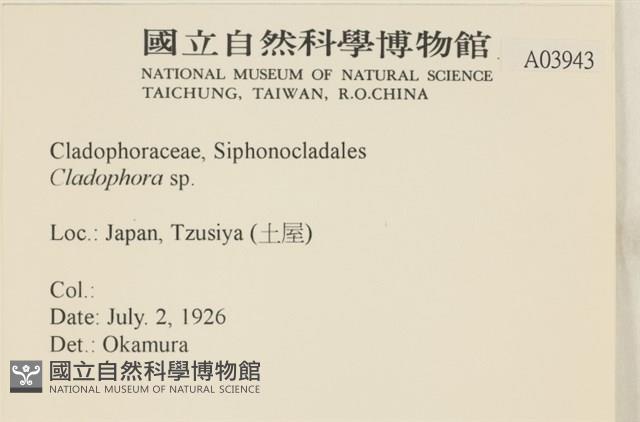 登錄號:A00003943藏品圖，第2張