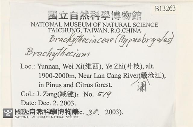 登錄號:B00013263藏品圖，第2張